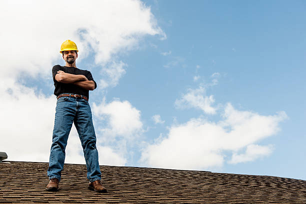 Best Gutter Installation and Roofing  in Round Lake Heights, IL