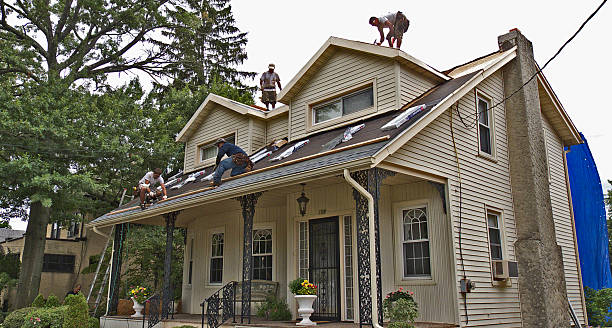 Best Roof Restoration Services  in Round Lake Heights, IL