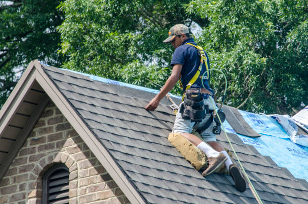 Best Storm Damage Roof Repair  in Round Lake Heights, IL